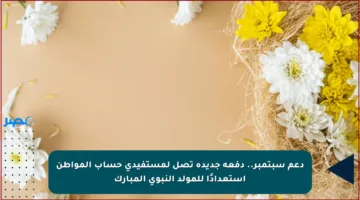 دعم سبتمبر.. دفعة جديدة تصل لمستفيدي حساب المواطن استعدادًا للمولد النبوي المبارك